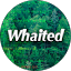 Фото whx.2nd
